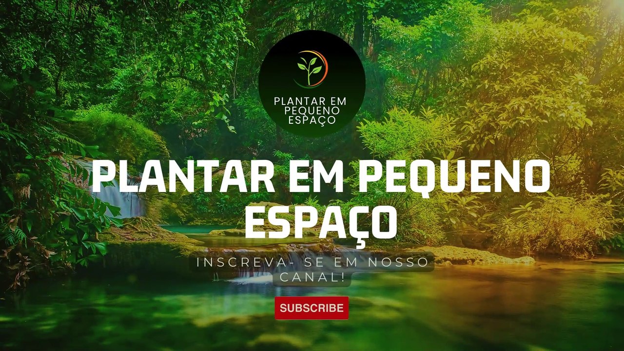Vinheta do canal 04.01.2024