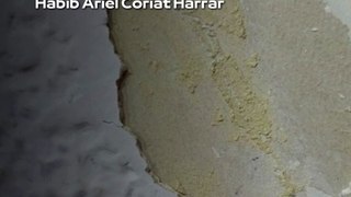 |HABIB ARIEL CORIAT HARRAR | DESCIFRANDO LOS MISTERIOS DEL UNIVERSO (PARTE 3) (@HABIBARIELC)