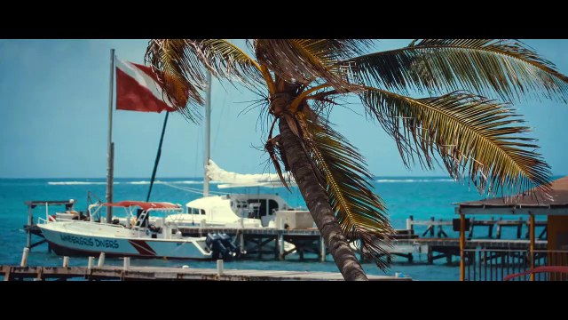 Auf Teufel komm raus- Die wilde Welt des John McAfee (2022) stream deutsch anschauen