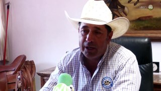 Calor mata a monos aulladores... y a 23 mil cabezas de ganado en Jalisco