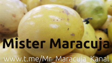 (272) Bitcoin als Armutszeugnis unseres Geldsystems | AUSWANDERN & GELD - PRAGMATISCHE GELDLEHRE 04