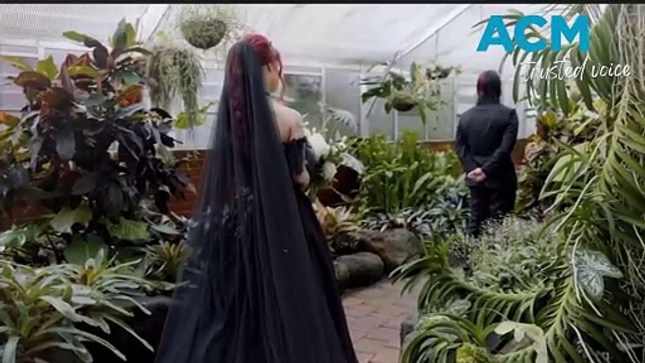 Inda and Nicolas Flamel's wedding highlights