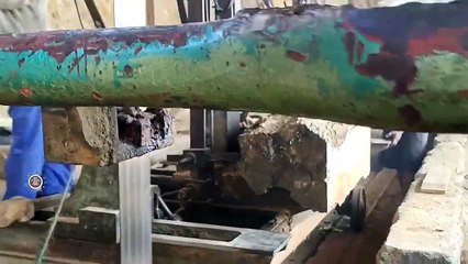 The wood is very sick __ Sawmills Suffer