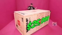 I Bought The World's Largest Mystery Box Mrbeast