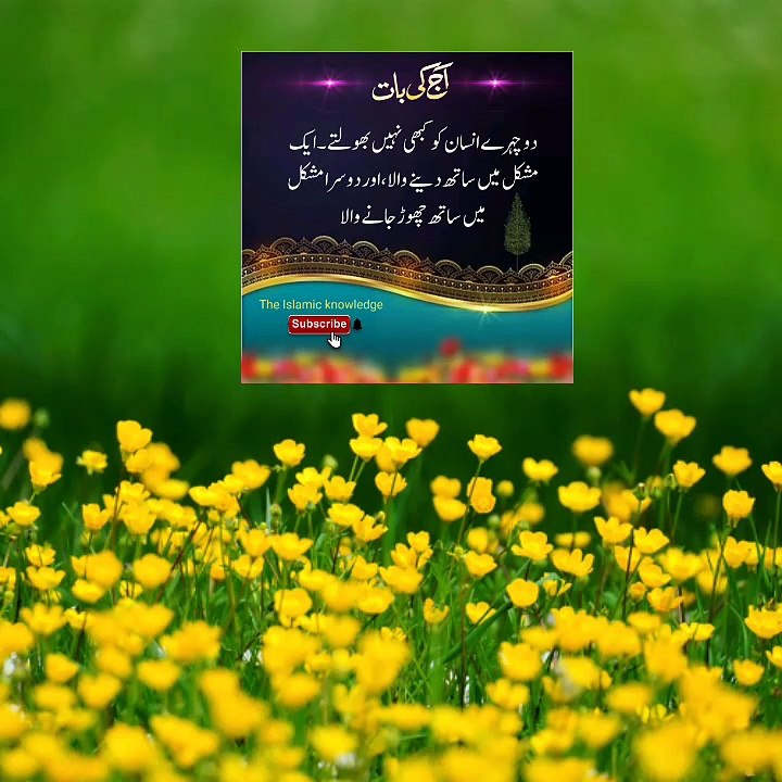 Aqwalezareen  #allah #muhammad #quran #azan #nimaz #hadees #suras #dua #fatwa #islamicstories #hadithoftheday ❤❤❤