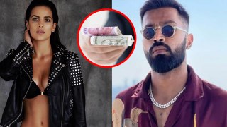 Hardik Pandya Natasha Stankovic Divorce: India में Alimony Amount Taxable है या नहीं, Explained