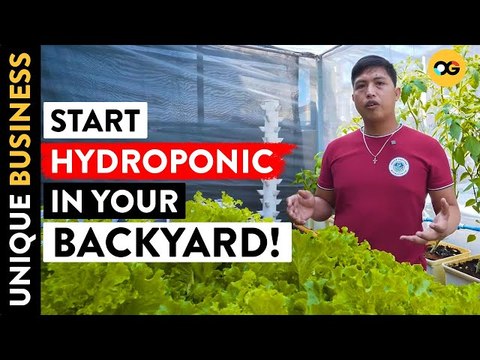 Got P500 to Invest? Learn Hydroponics Farming (TUTORIAL) | OG