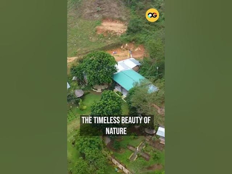 Eco-Friendly Tiny Home Living: How This Couple Built a Sustainable Retreat | OG #shorts