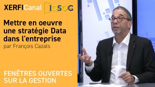 Mettre en oeuvre une stratégie Data dans l'entreprise [François Cazals]