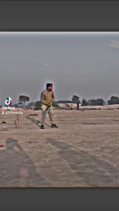 Cricket lover