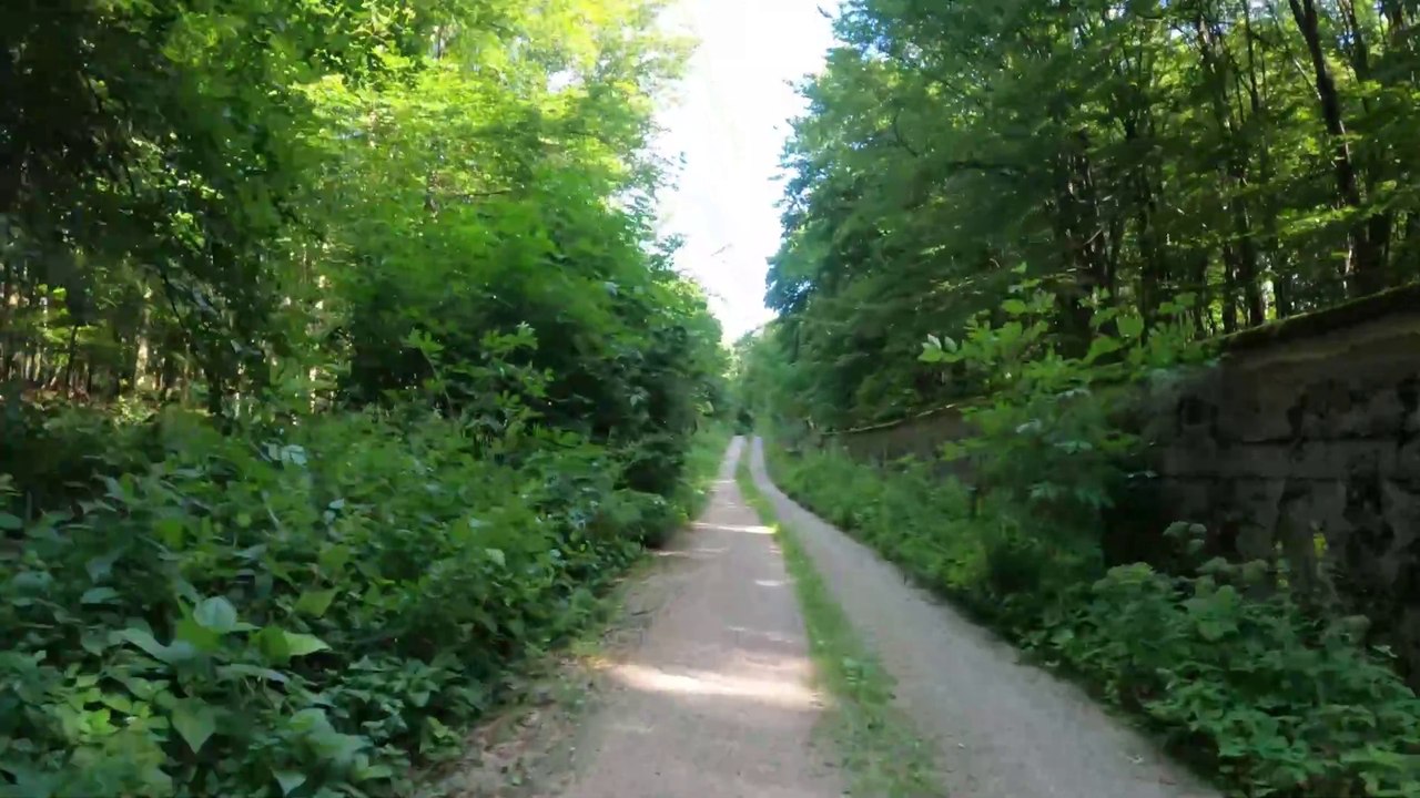 Ab Laaber Tor: MTB Lainzer Tiergarten-Strecke (12)