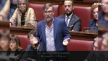Deputati M5s espongono in Aula bandiere della pace e della Palestina