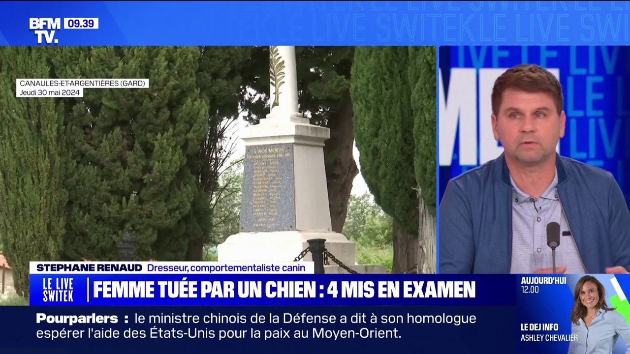 "C'est un chien de chasse": Stéphane Renaud, dresseur et comportementaliste canin, après l'agression mortelle d'une femme de 93 ans dans un cimetière