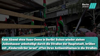 Schilder mit „Fuck you Germany“ bei Demo