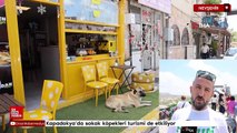 Kapadokya’da sokak köpekleri turizmi de etkiliyor