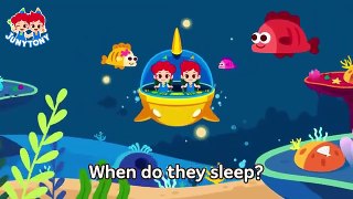 Do Fish Sleep How Do Fish Sleep Curious Songs for Kids Learn English Bedtime JunyTony