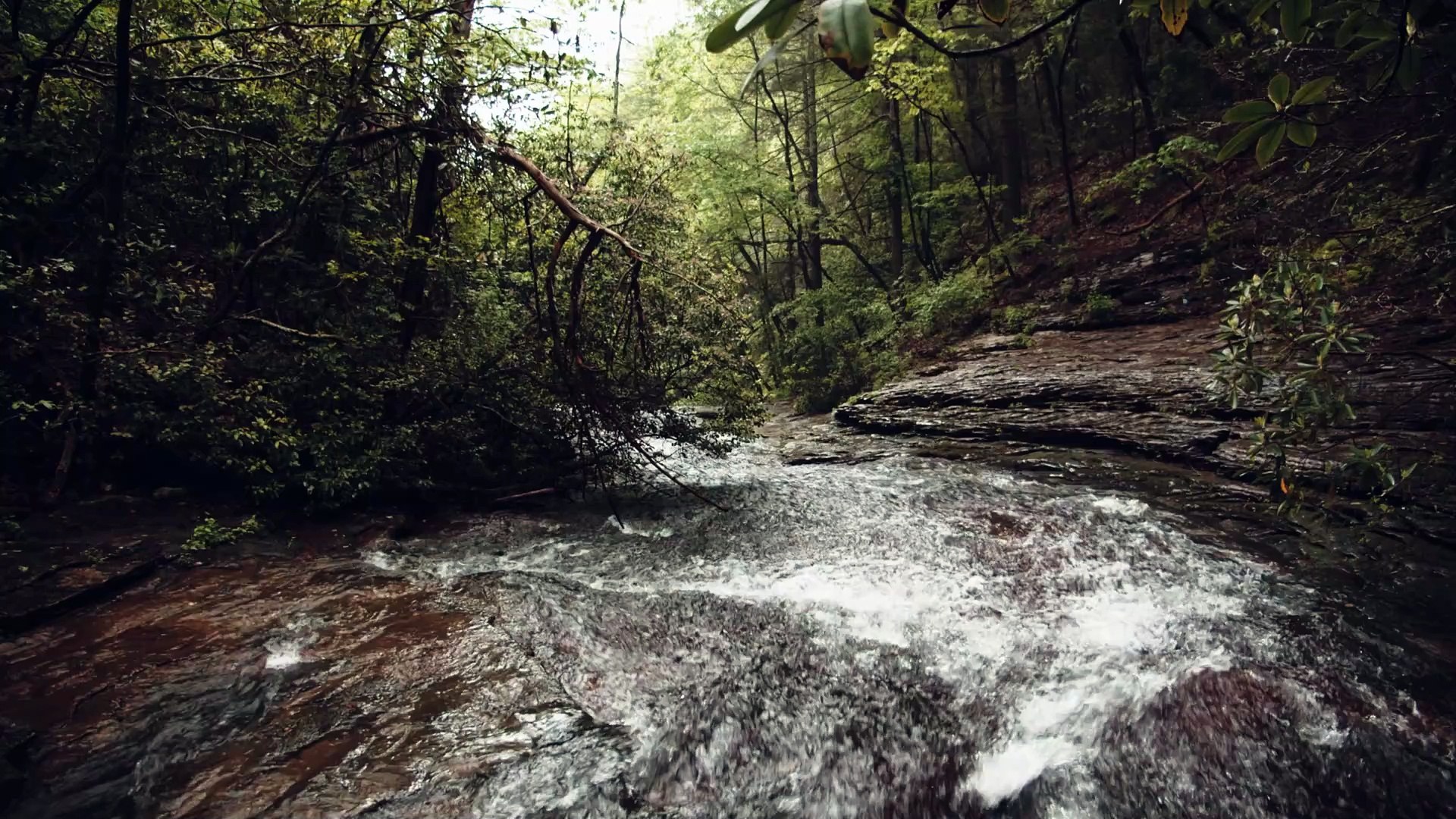 ⁣Nature Sounds of a Forest River for Relaxing - Natural Meditation Music of a Waterfall Bird Sounds