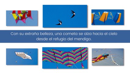 El gran libro de las cometas - The big book of kites