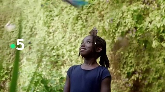 Echappées belles (Picardie) - 1er juin