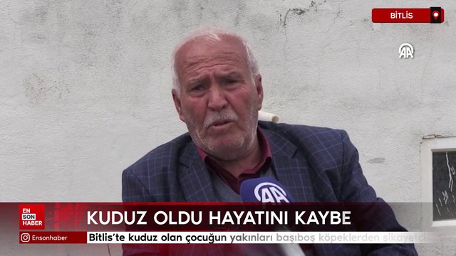 Bitlis'te kuduz olan çocuğun yakınları başıboş köpeklerden şikayetçi