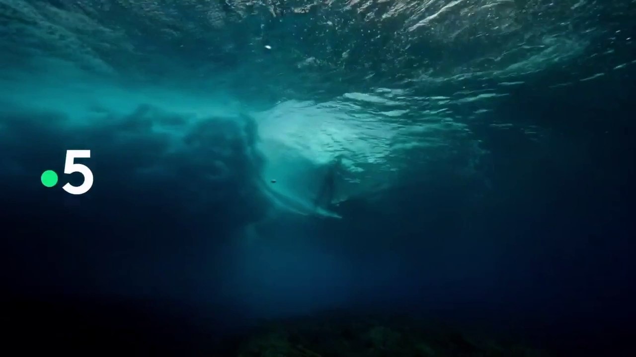 Jean Monnet, l’aventurier de l’Europe - 2 juin