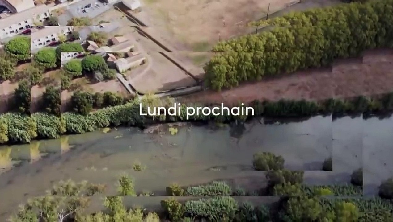 Sale temps pour la planète - 3 juin