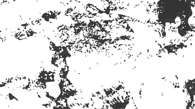 Affordable and Reliable Cheap Coursework Writing Services