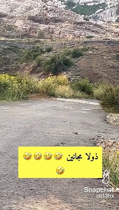 بائے بائے