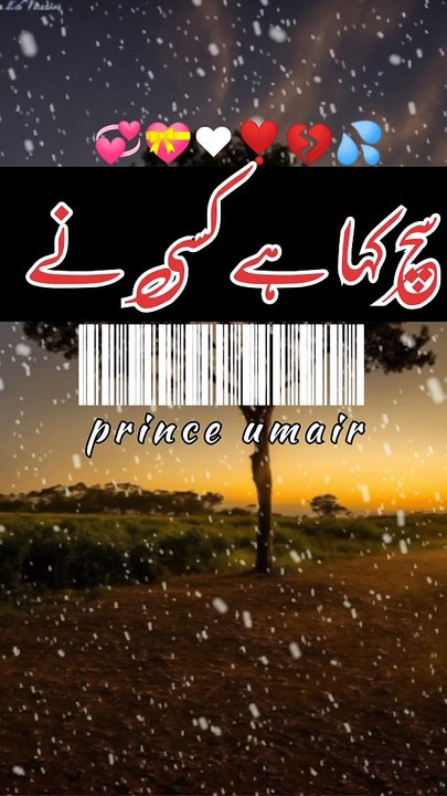 سچ کہا ہے کسی نے