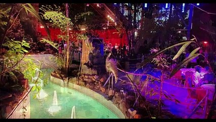 MAESTRO APIPD GALA SHOW 2024 WORLD CITY Live by CommanderCdR Don MAESTRO