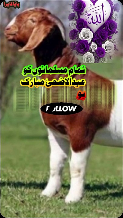 Bakra Eid 2024
