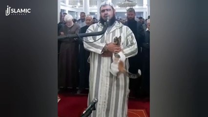 New _ The Imam _ The Cat - Mufti Menk Responds