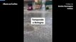 Pioggia e grandine a Bologna, il video