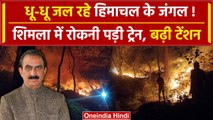 Himachal Pradesh Forest Fire: जल रहे हिमाचल के जंगल, Shimla में रोकनी पड़ी ट्रेन | वनइंडिया हिंदी