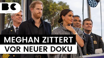 Harrys Wandel: ZDF-Doku bringt Meghans Einfluss ans Licht
