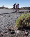 El ciclista profesional belga Lennert Van Eetvelt, atropellado en Tenerife mientras entrenaba