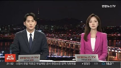 "북러 무기이전 반대"…11개국 외교장관 공동성명