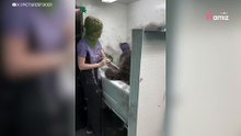 Video van hondentrimster maakt miljoenen kijkers sprakeloos!