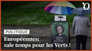 Européennes: sale temps pour les Verts !