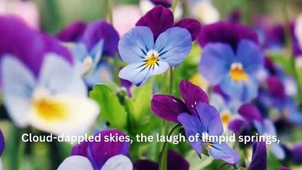 Find Joy in the Little Things: A Poetic Reflection: A Little Prayer