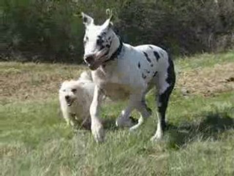 Actus victime de Cocaïne