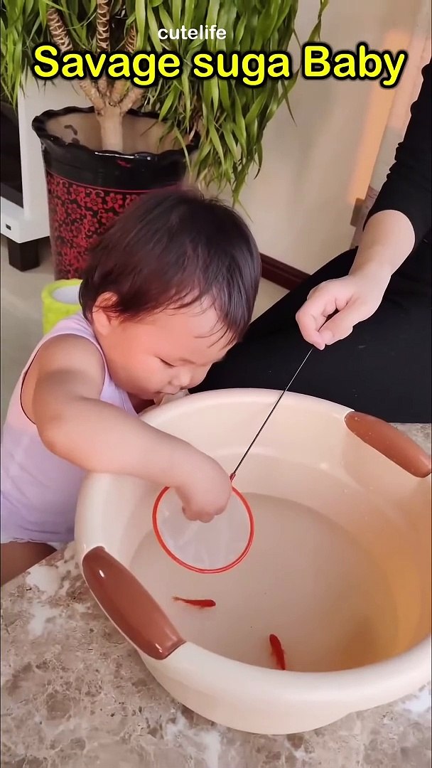 Funny videos and entertainment !
