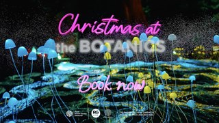 Christmas At The Botanics 2024 returns with brand new dazzling light trail