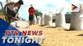 NFA poised to surpass H1 rice procurement target of over 3M 50-kilo bags of palay...