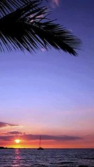 آپ ﷺ نے فرمایا کہ ایمان کی ساٹھ سے کچھ اوپر شاخیں ہیں ۔ اور حیاء ( شرم ) بھی ایمان کی ایک شاخ ہے ۔ (1)