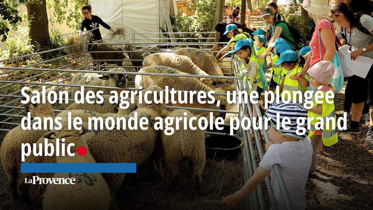 Au Salon des agricultures de Salon-de-Provence, une plongée dans le monde agricole pour le grand public
