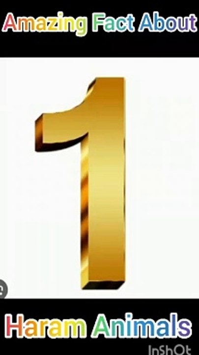 5 fact about haram animals