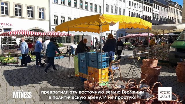 Крайне правые метят на призовое место в Европарламенте. Кто их избиратели?