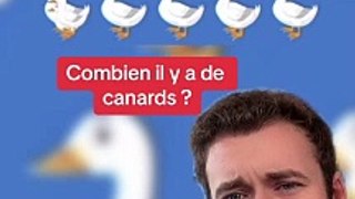 Combien de canards ? (Exclu Dailymotion)