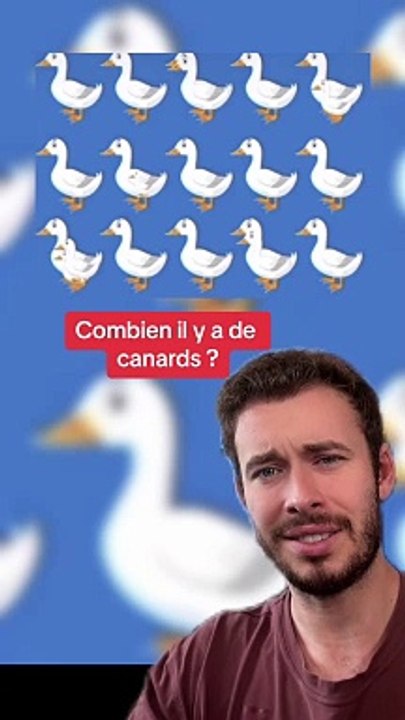 Combien de canards ? (Exclu Dailymotion)